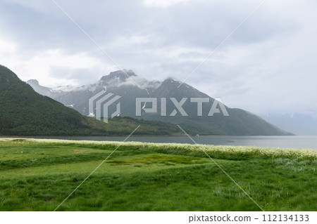 Serene beauty of Norway: misty fjord and lush meadow beneath towering, shadowy peaks 112134133