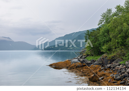 Glassy Norwegian fjord water reflects sky tones, bordered by rocky shores and golden seaweed 112134134