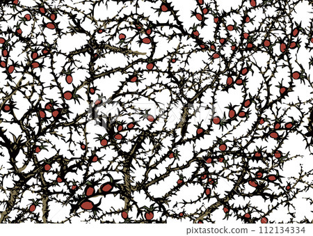 Branches of Blackthorn. Vector drawing 112134334