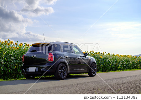 Imported car parked in front of a sunflower field 112134382