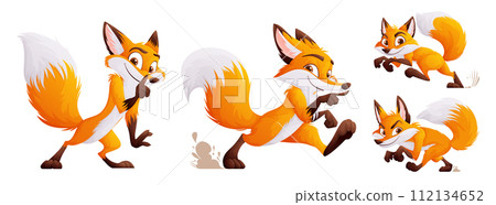 A set of four cunning but cute foxes. Adult foxes in dynamic poses. Wild animals of the forest. Vector cartoon style. A set of four cunning but cute foxes. Adult foxes in dynamic poses. Wild animals of the forest. Vector cartoon style. 112134652