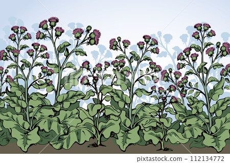 Big blooming burdock. Vector drawing Big blooming burdock. Vector drawing 112134772