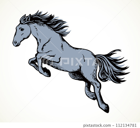 Galloping horse. Vector drawing icon Galloping horse. Vector drawing icon 112134781