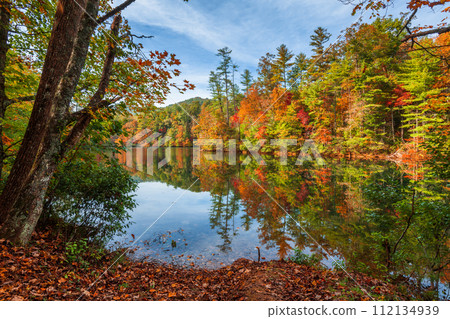 Lakeside fall foliage at Santeetlah Lake, North Carolina Lakeside fall foliage at Santeetlah Lake, North Carolina 112134939