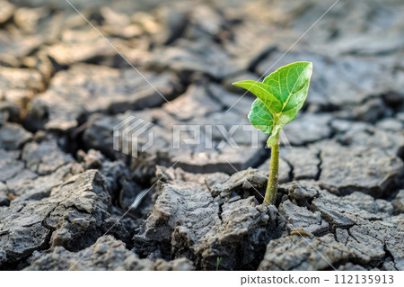 Rising sprout on dry ground. Ecology concept and save the plane. Ai generated Rising sprout on dry ground. Ecology concept and save the plane. Ai generated 112135913
