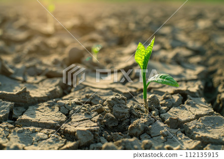 Rising sprout on dry ground. Ecology concept and save the plane. Ai generated 112135915