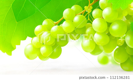 Grapes close up isolated on white. Green Grapes on a branch with leaves, fruit banner with Copy Space Grapes close up isolated on white. Green Grapes on a branch with leaves, fruit banner with Copy Space 112136281