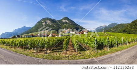 view of the neighborhood of Aigle Castle view of the neighborhood of Aigle Castle 112136288