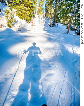 A person is skiing down a snowy hill with trees in the background A person is skiing down a snowy hill with trees in the background 112136292