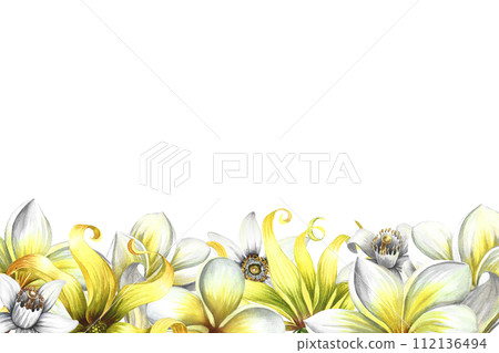 A banner with fragrant flowers of plumeria, frangipani, orange blossom and ylang-ylang. Vintage delicate border frame with tropical flowers and butterflies. Hand-drawn watercolor illustration. 112136494