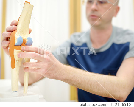 Orthopedist shows the patient an anatomical model of knee joint during appointment in modern clinic. Doctor explains features of structure. Rheumatologist tells about problems of treating disease. 112136510