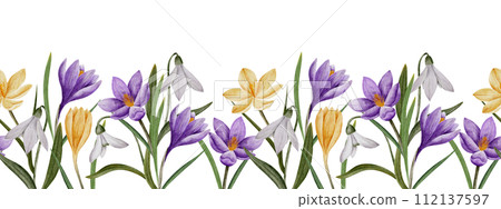 crocus and snowdrop flower seamless horizontal border, watercolor art, isolated spring clipart. Hand drawn botanical illustration. Elements for cards, logos, prints, wedding design crocus and snowdrop flower seamless horizontal border, watercolor art, isolated spring clipart. Hand drawn botanical illustration. Elements for cards, logos, prints, wedding design 112137597