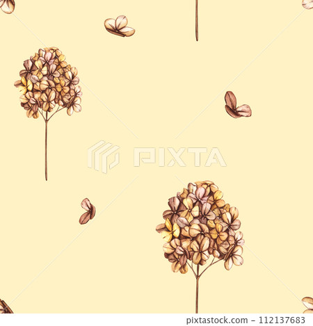 Seamless pattern with branch of dried hydrangea, flowers and wild dry grass. Vintage wallpaper in boho style with herbs and wildflowers. Floral garden elements Seamless pattern with branch of dried hydrangea, flowers and wild dry grass. Vintage wallpaper in boho style with herbs and wildflowers. Floral garden elements 112137683