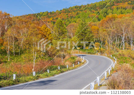 秋天的志賀高原-平坦的地面,是觀賞紅葉的最佳時間 秋天的志賀高原-平坦的地面,是觀賞紅葉的最佳時間 112138003