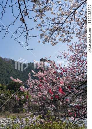 Spring landscape 112138262