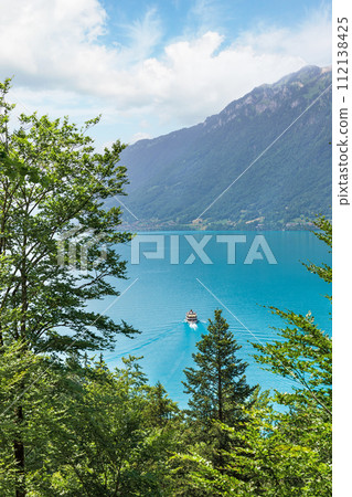view of Brienz lake in Switzerland 112138425