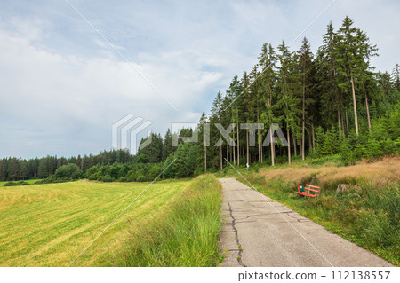 landscape in the Schwarzwald region in southwestern Germany landscape in the Schwarzwald region in southwestern Germany 112138557
