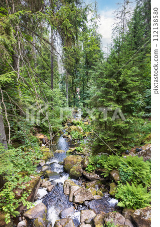 waterfall in Triberg Germany waterfall in Triberg Germany 112138580