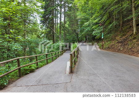 Schwarzwald forest in southwestern Germany Schwarzwald forest in southwestern Germany 112138583