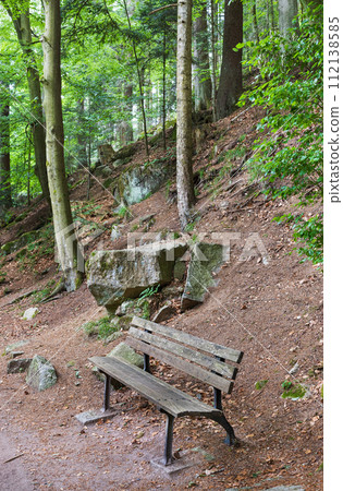 Schwarzwald forest in southwestern Germany Schwarzwald forest in southwestern Germany 112138585