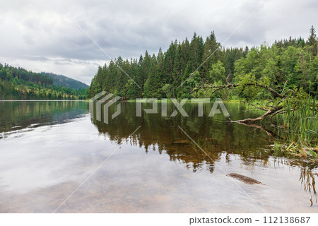 landscape at the lake Windgfellweicher Germany 112138687