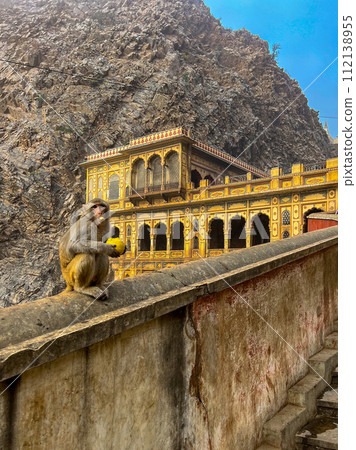 Monkey inside Galta Ji Hindu temple near Jaipur, Rajasthan . High quality photo 112138955