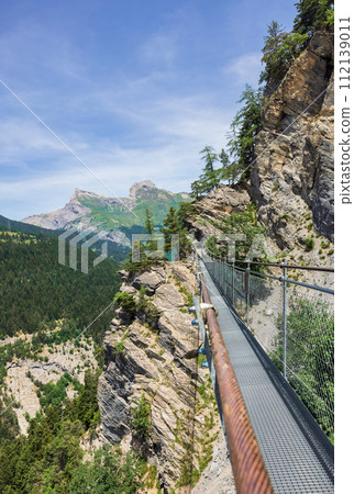 suspension bridges in the swiss alps suspension bridges in the swiss alps 112139011