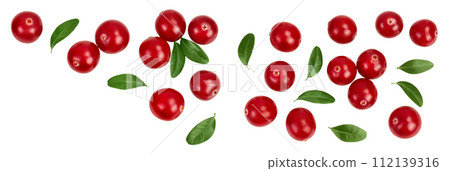Cranberry with leaves isolated on white background with full depth of field. Top view with copy space for your text. Flat lay 112139316