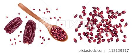 Purple corn or maize with seeds isolated on white background with full depth of field. Top view. Flat lay 112139317
