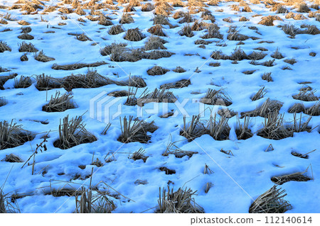大雪後的殘雪、稻田、荒川河床的冬景 112140614