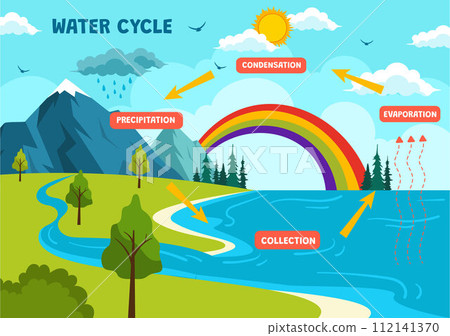 Water Cycle Vector Illustration with Evaporation, Condensation, Precipitation to Collection in Earth natural environment in Flat Cartoon Background Water Cycle Vector Illustration with Evaporation, Condensation, Precipitation to Collection in Earth natural environment in Flat Cartoon Background 112141370