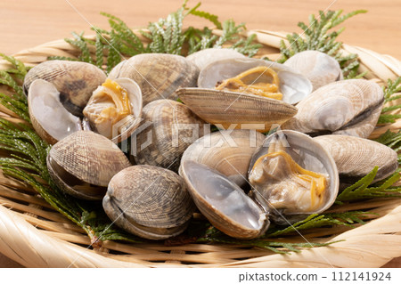 [From China] Clams 112141924