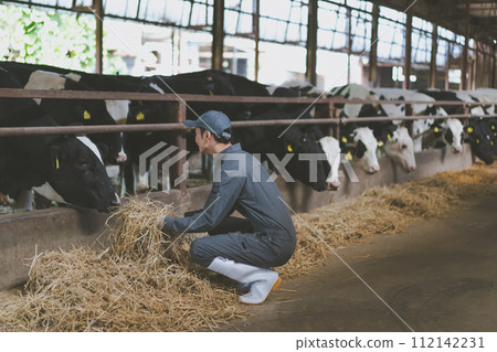 cow shed, cattle barn, gents 112142231