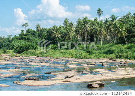 Scenery view of the nature landscape in Pinnawala village, Sri Lanka. Pinnawala has the largest herd of captive elephants in the world. 112142484