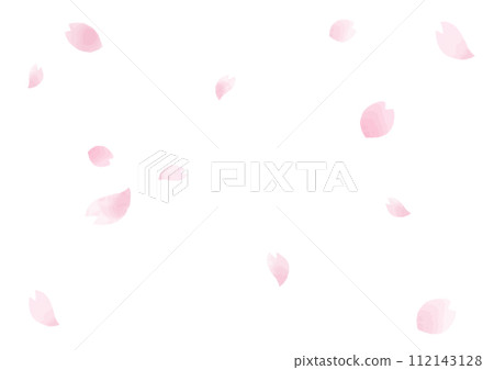 Cherry blossoms with hand-painted watercolor petals falling 112143128