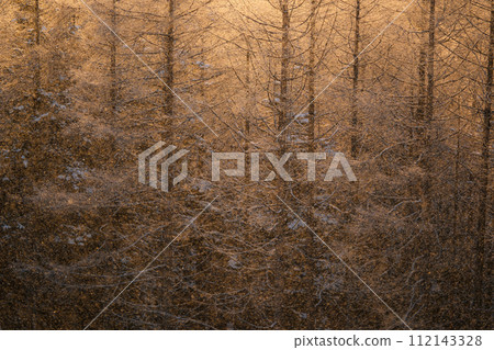 Kirigamine in winter 112143328