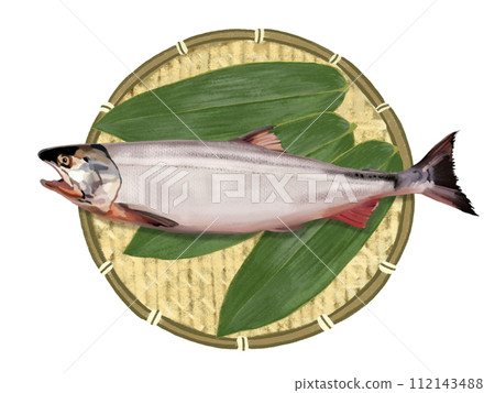 Salmon (1 fish) colander, with bamboo leaves 112143488