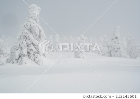 冬天山看法 112143601