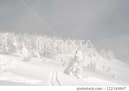 View of Winter Mountain 112143647