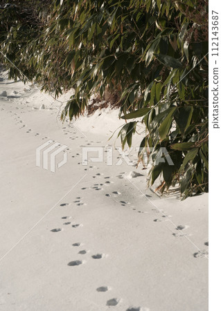 View of Winter Mountain 112143687