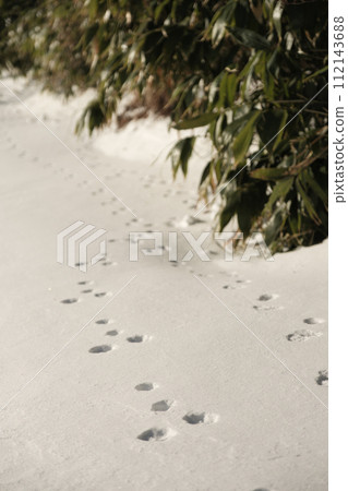 View of Winter Mountain View of Winter Mountain 112143688