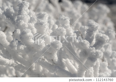 View of Winter Mountain View of Winter Mountain 112143760