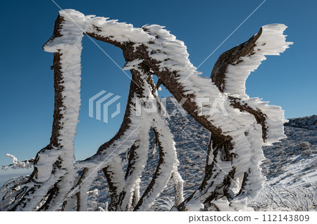 在冬天山的風景 在冬天山的風景 112143809