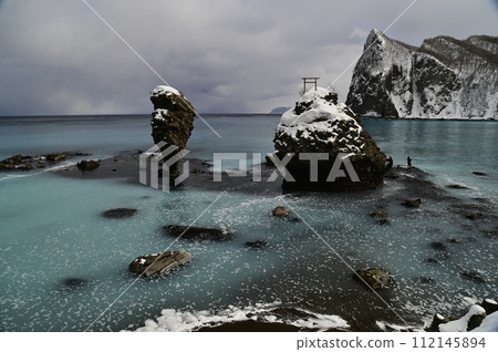 鯡魚學校 112145894