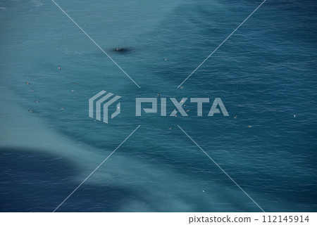 School of herring 112145914