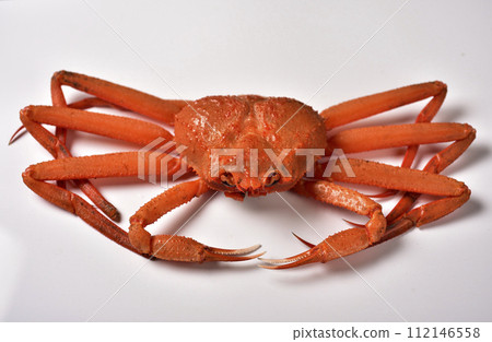 Bennigei crab Bennigei crab 112146558