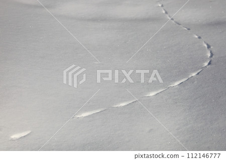 雪地裡的腳印-松鼠 雪地裡的腳印-松鼠 112146777