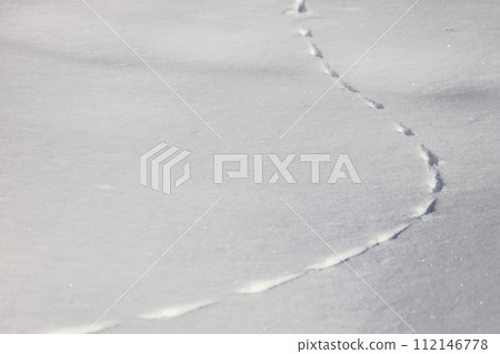 雪地裡的腳印－松鼠 112146778