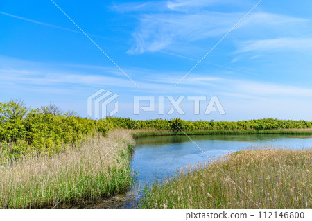 Sendai Gamo Tidal Flat 112146800