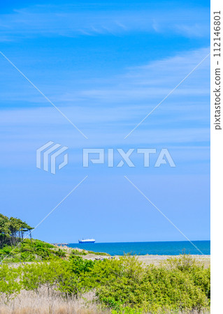 Sendai Gamo Tidal Flat Sendai Gamo Tidal Flat 112146801